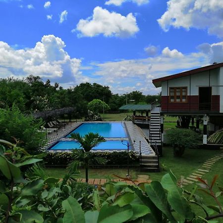 Eco Hotel Black & White - Anuradhapura Mihintale Εξωτερικό φωτογραφία