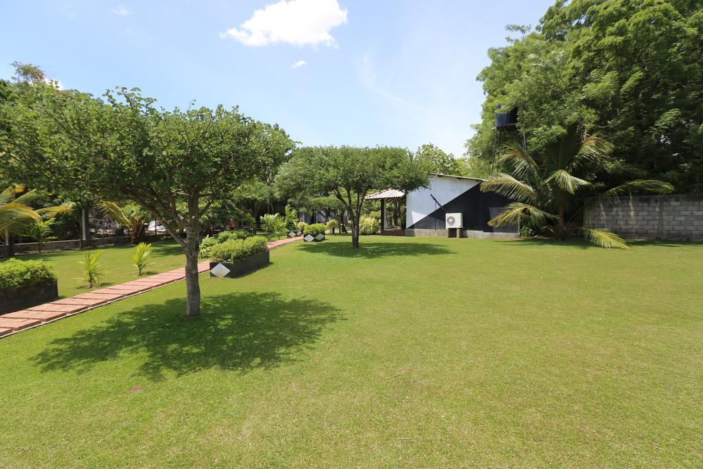 Eco Hotel Black & White - Anuradhapura Mihintale Εξωτερικό φωτογραφία