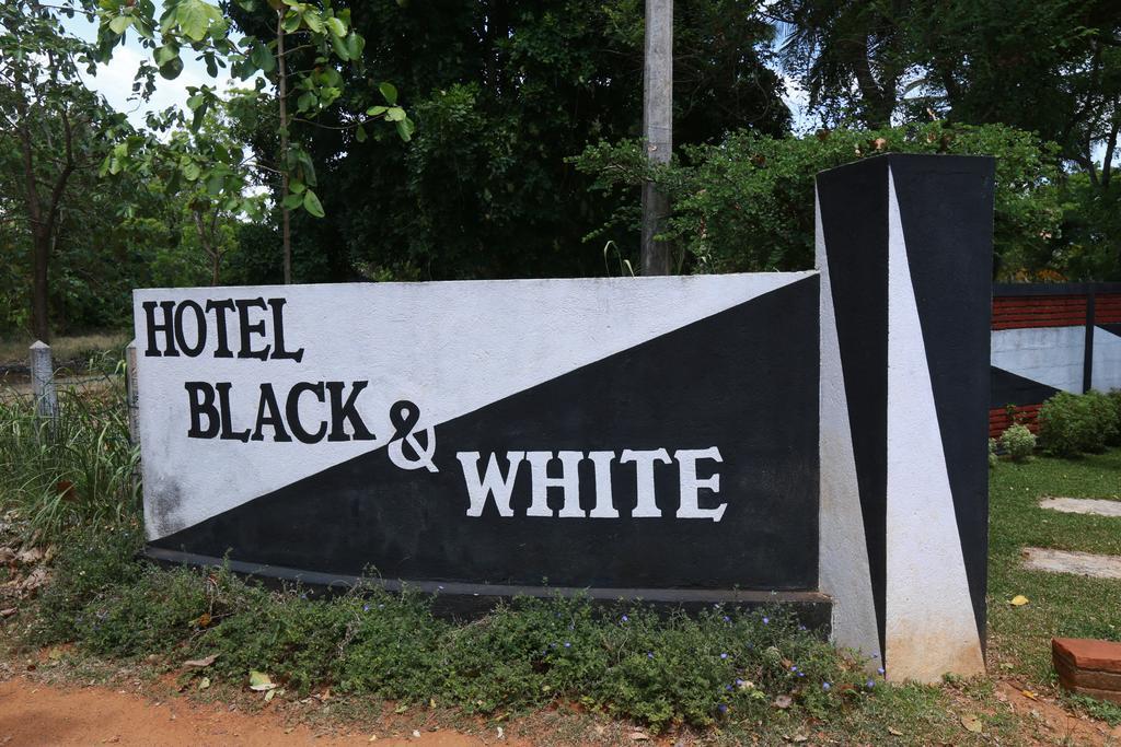 Eco Hotel Black & White - Anuradhapura Mihintale Εξωτερικό φωτογραφία