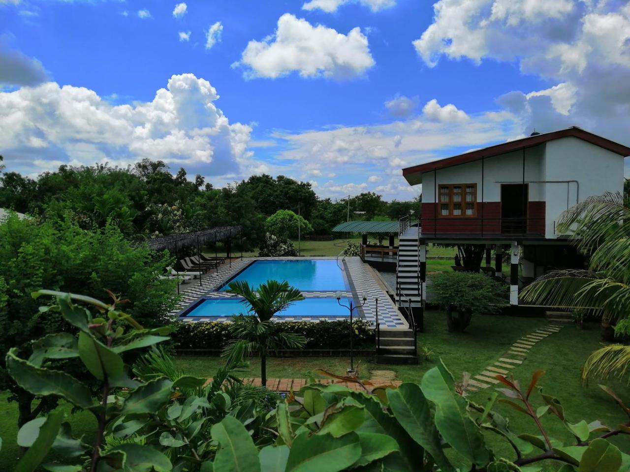 Eco Hotel Black & White - Anuradhapura Mihintale Εξωτερικό φωτογραφία