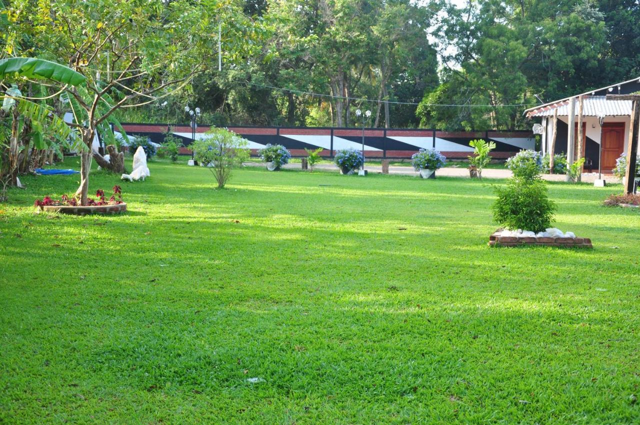 Eco Hotel Black & White - Anuradhapura Mihintale Εξωτερικό φωτογραφία